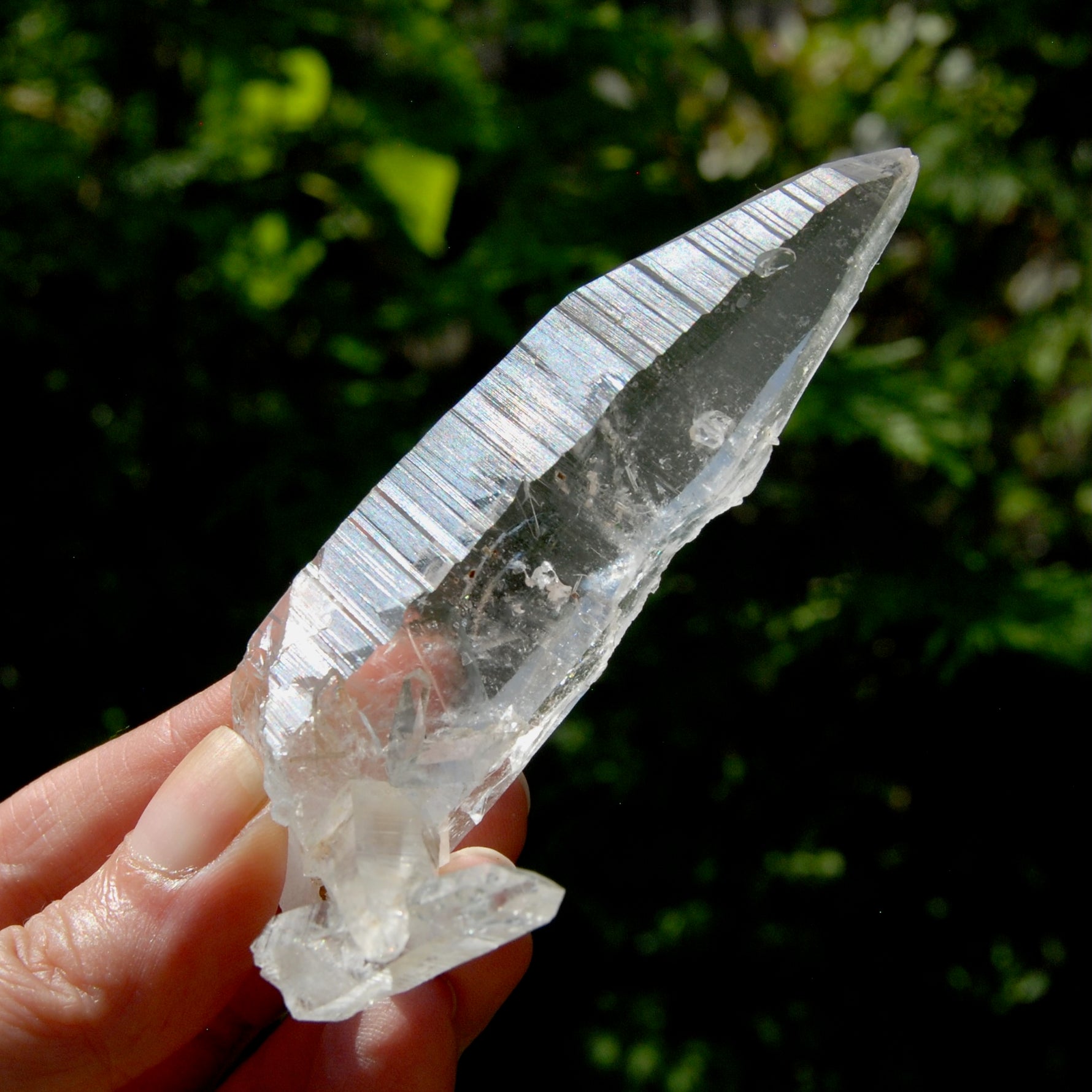Lemurian Crystal Laser Starbrary Bridge - 3.75" 73g Optical Quartz, Colombia