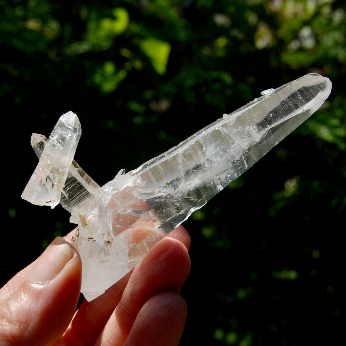 Lemurian Crystal Laser Starbrary Bridge - 3.75" 73g Optical Quartz, Colombia