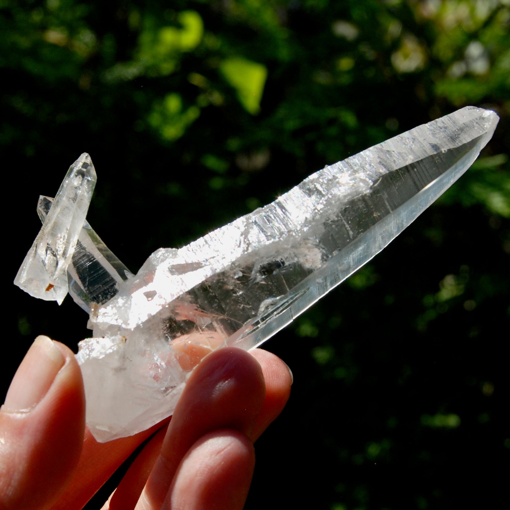 Lemurian Crystal Laser Starbrary Bridge - 3.75" 73g Optical Quartz, Colombia