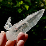 Lemurian Crystal Laser Starbrary Bridge - 3.75" 73g Optical Quartz, Colombia