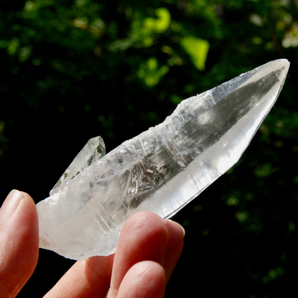 Lemurian Crystal Laser Starbrary Bridge - 3.75" 73g Optical Quartz, Colombia