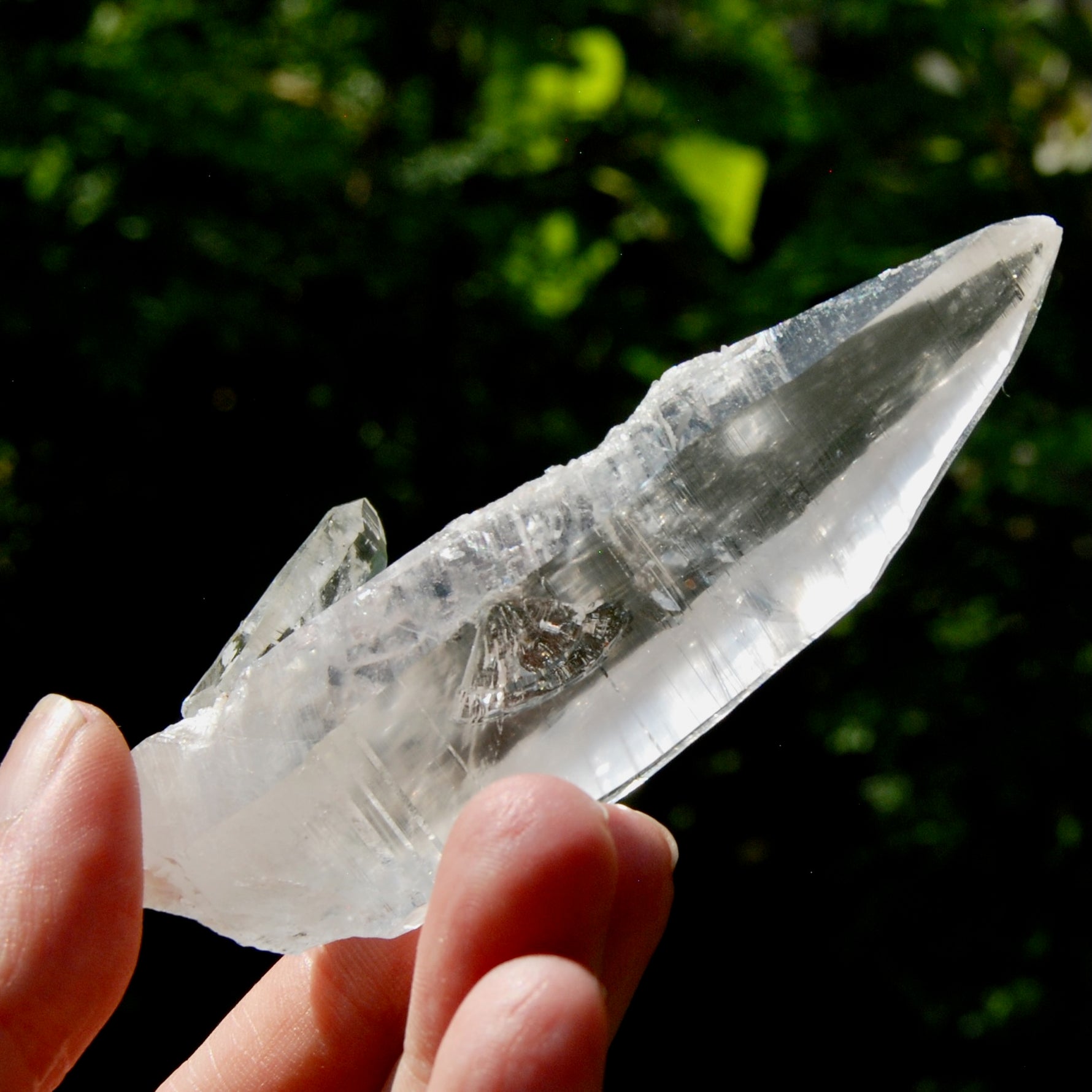 Lemurian Crystal Laser Starbrary Bridge - 3.75" 73g Optical Quartz, Colombia