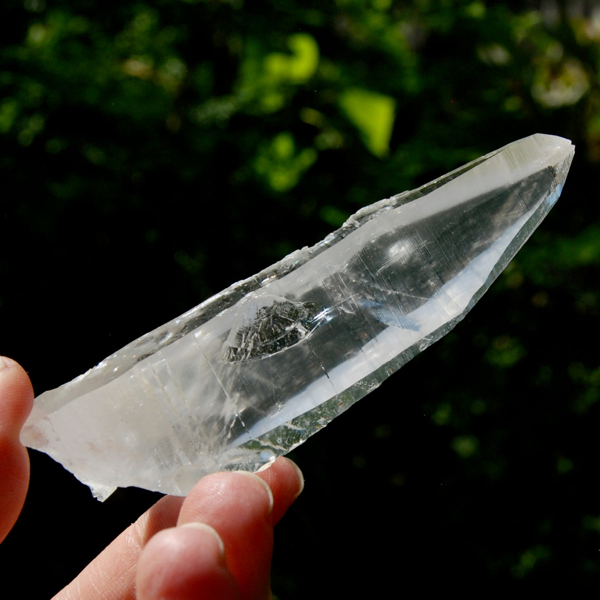 Lemurian Crystal Laser Starbrary Bridge - 3.75" 73g Optical Quartz, Colombia
