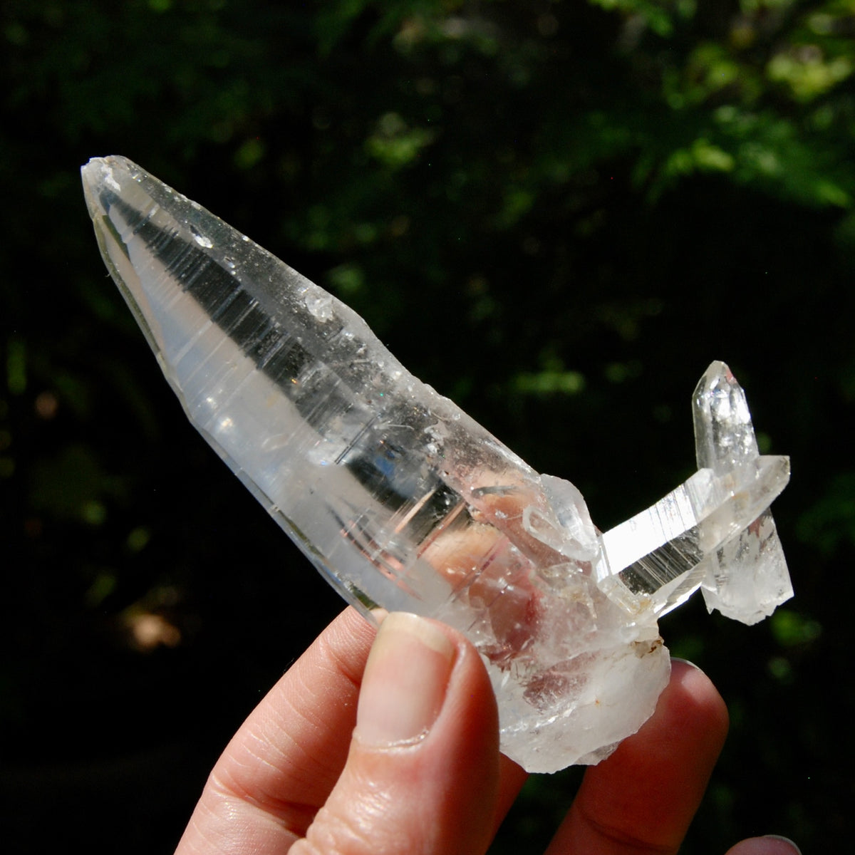 Lemurian Crystal Laser Starbrary Bridge - 3.75" 73g Optical Quartz, Colombia