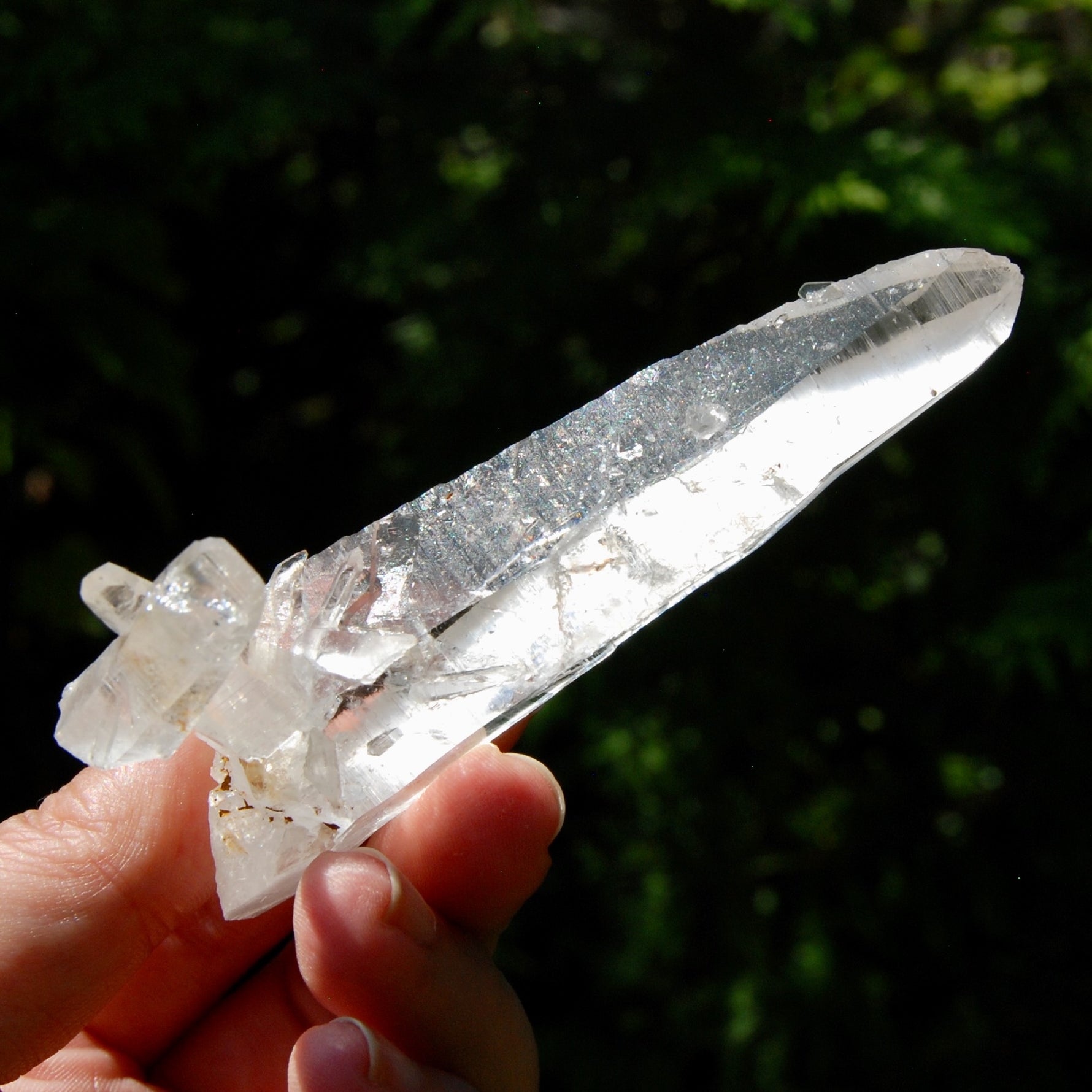 Lemurian Crystal Laser Starbrary Bridge - 3.75" 73g Optical Quartz, Colombia
