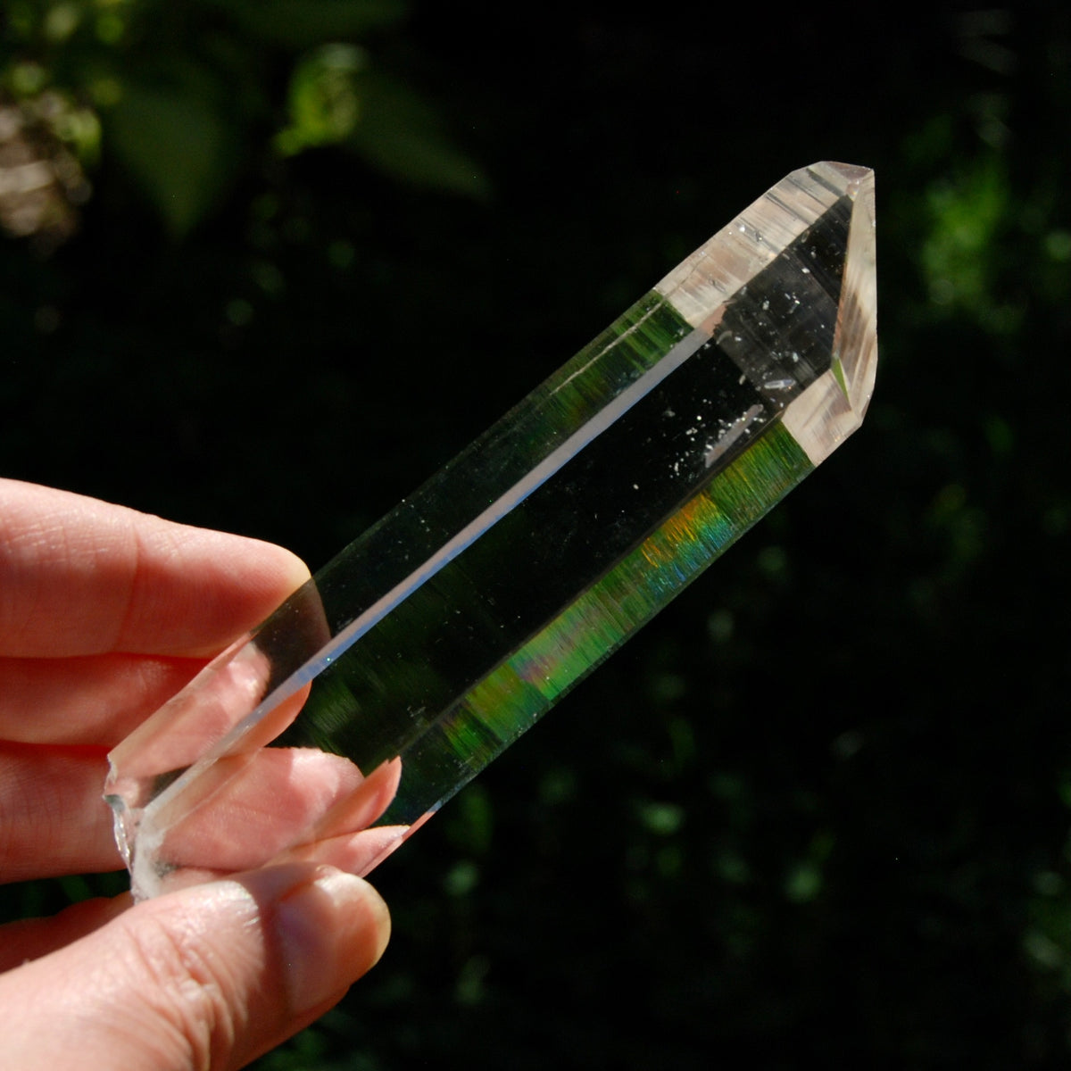 Trans Channeler Blades of Light Lemurian Crystal, 4.7" 135g Powerful Optical Quartz, Colombia