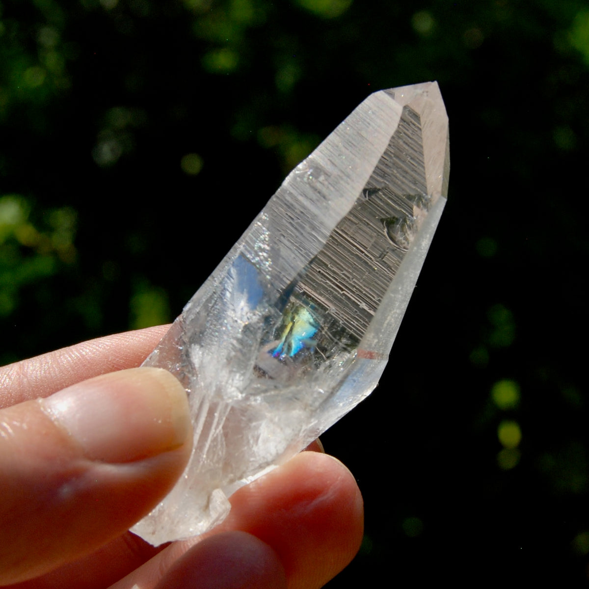 Lemurian Channeler Crystal - 2.5" 44g Trigonic Record Keeper Optical Quartz, Colombia A8