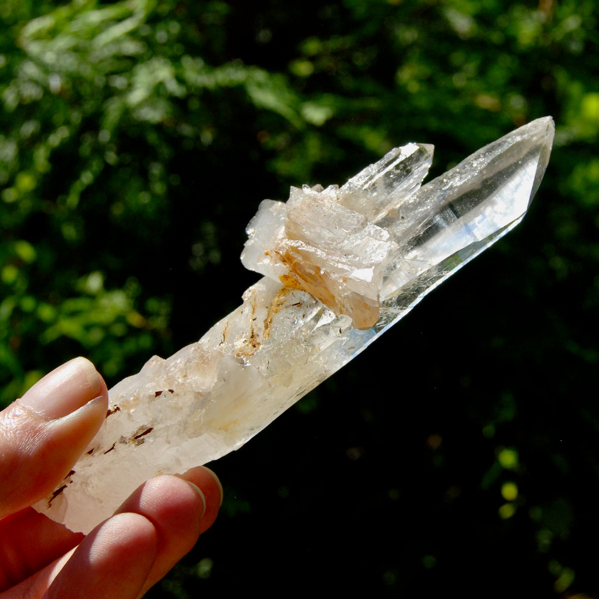 DT Dolphin Lemurian Cross Crystal Starbary- 5" 96g Earthquake Optical Quartz, Colombia
