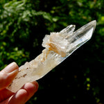DT Dolphin Lemurian Cross Crystal Starbary- 5" 96g Earthquake Optical Quartz, Colombia