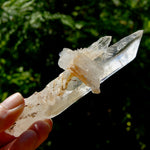 DT Dolphin Lemurian Cross Crystal Starbary- 5" 96g Earthquake Optical Quartz, Colombia