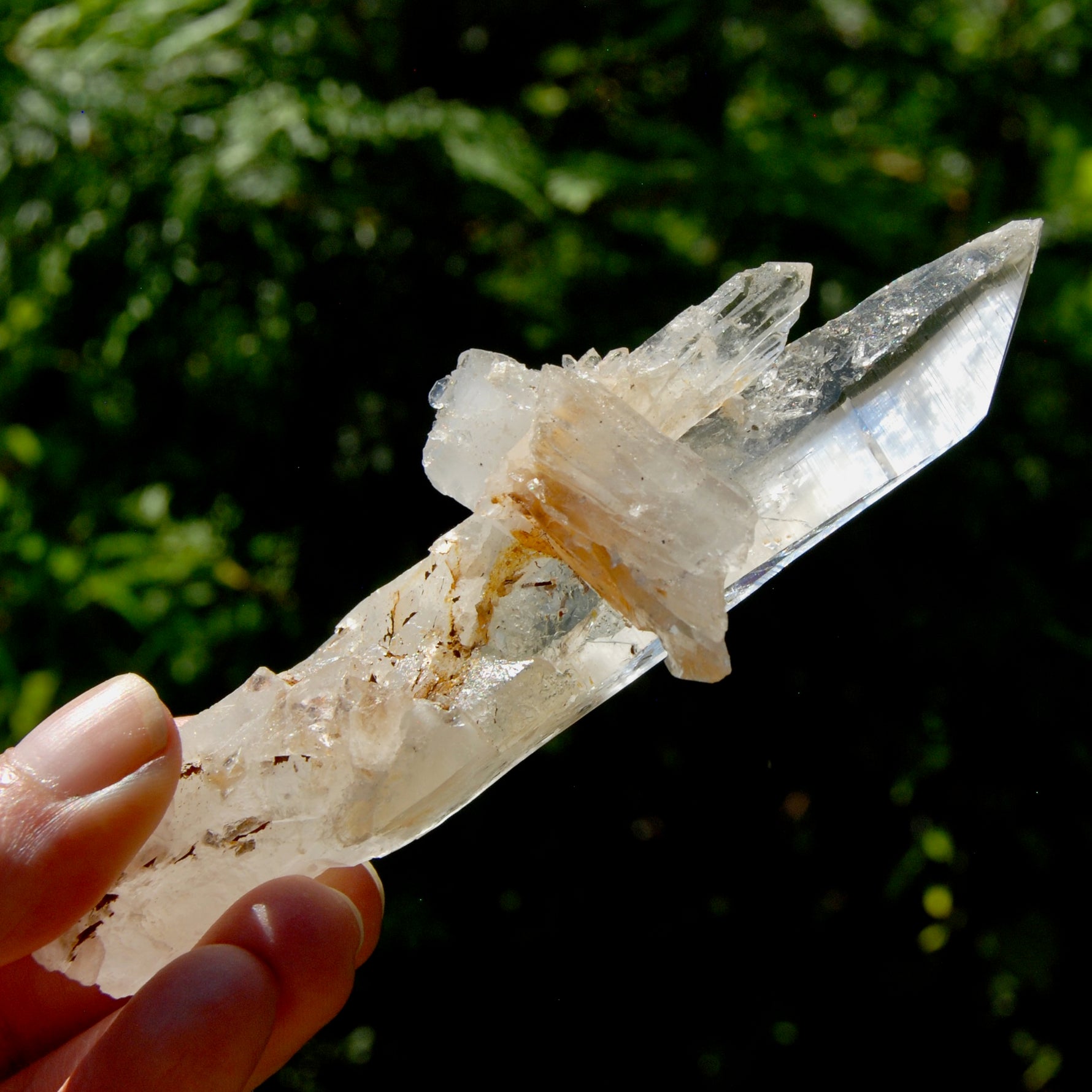DT Dolphin Lemurian Cross Crystal Starbary- 5" 96g Earthquake Optical Quartz, Colombia