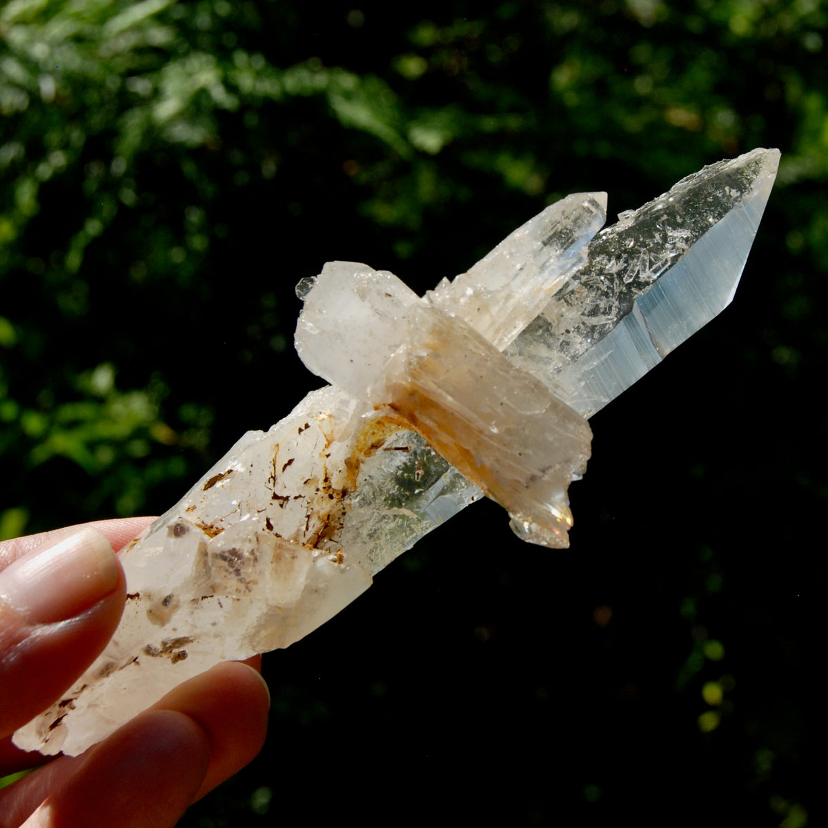DT Dolphin Lemurian Cross Crystal Starbary- 5" 96g Earthquake Optical Quartz, Colombia