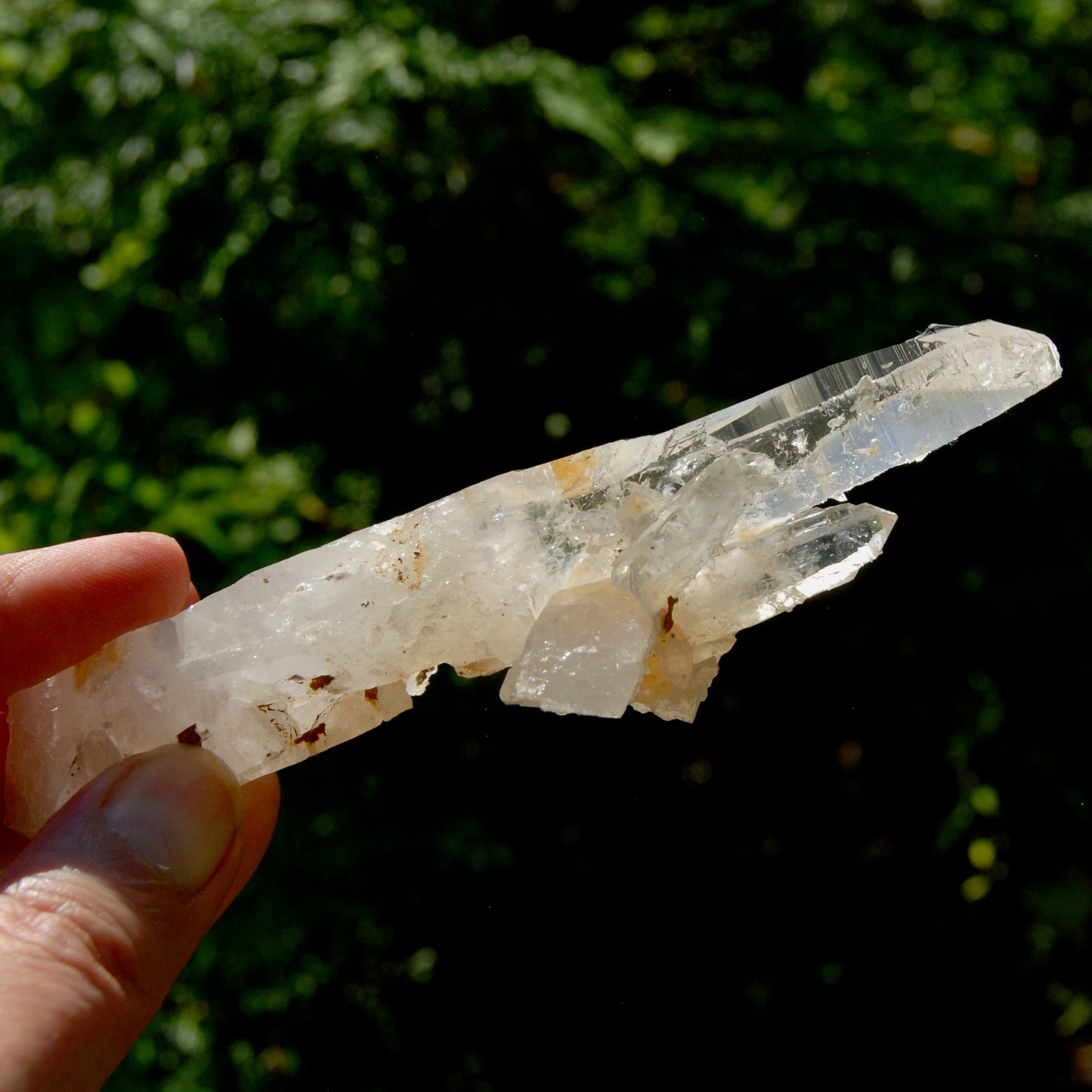 DT Dolphin Lemurian Cross Crystal Starbary- 5" 96g Earthquake Optical Quartz, Colombia