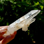 DT Dolphin Lemurian Cross Crystal Starbary- 5" 96g Earthquake Optical Quartz, Colombia