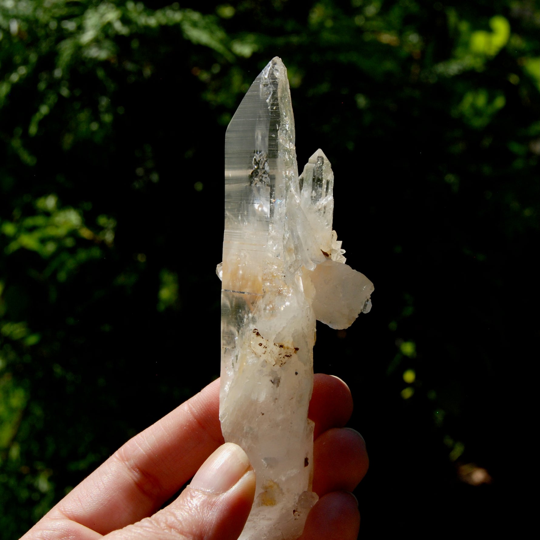 DT Dolphin Lemurian Cross Crystal Starbary- 5" 96g Earthquake Optical Quartz, Colombia
