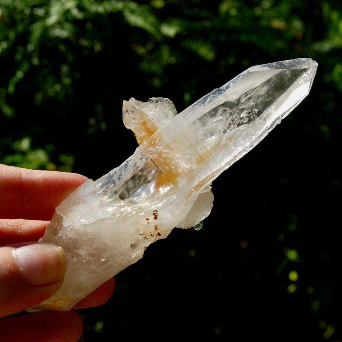 DT Dolphin Lemurian Cross Crystal Starbary- 5" 96g Earthquake Optical Quartz, Colombia