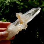 DT Dolphin Lemurian Cross Crystal Starbary- 5" 96g Earthquake Optical Quartz, Colombia