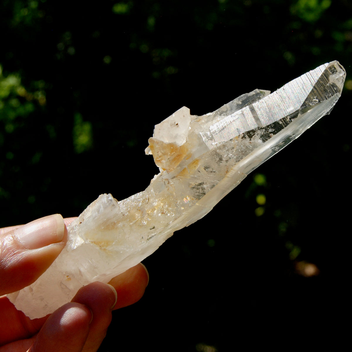 DT Dolphin Lemurian Cross Crystal Starbary- 5" 96g Earthquake Optical Quartz, Colombia
