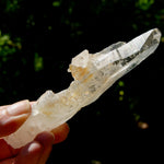 DT Dolphin Lemurian Cross Crystal Starbary- 5" 96g Earthquake Optical Quartz, Colombia