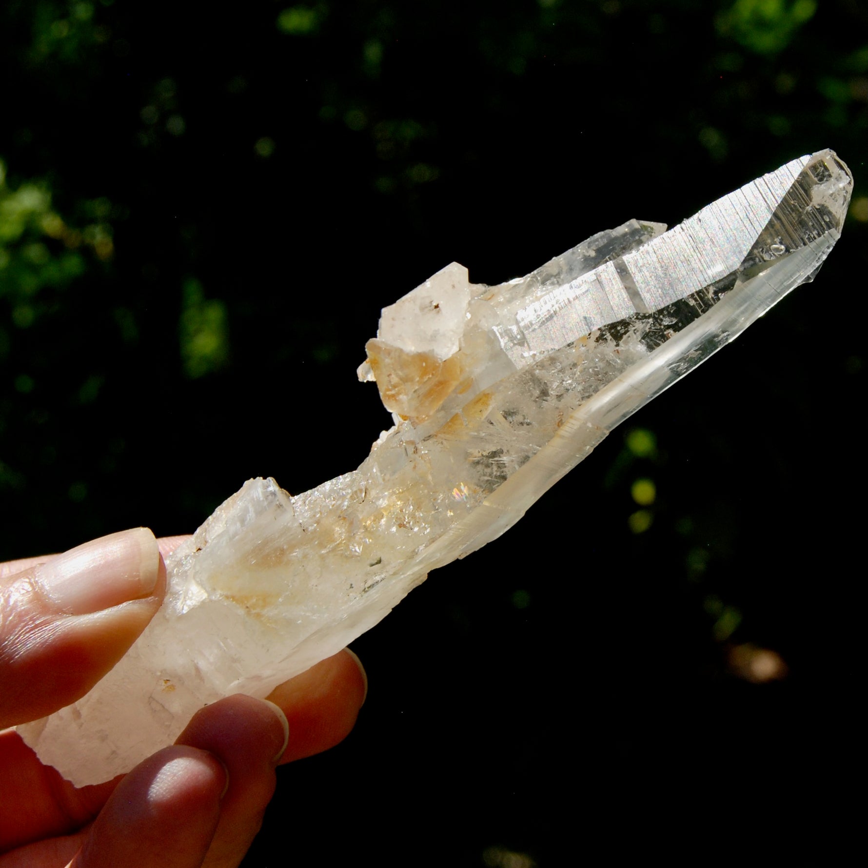 DT Dolphin Lemurian Cross Crystal Starbary- 5" 96g Earthquake Optical Quartz, Colombia