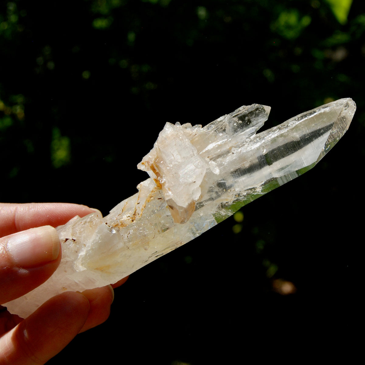 DT Dolphin Lemurian Cross Crystal Starbary- 5" 96g Earthquake Optical Quartz, Colombia