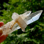 DT Dolphin Lemurian Cross Crystal Starbary- 5" 96g Earthquake Optical Quartz, Colombia