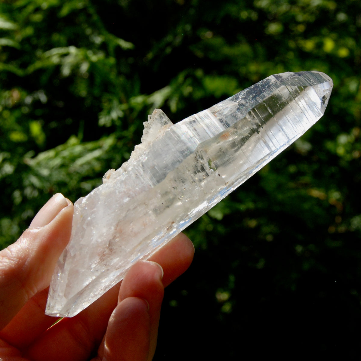 DT Lemurian Crystal Master Starbary - 4.75" 138g Record Keeper Optical Quartz, Colombia