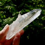DT Lemurian Crystal Master Starbary - 4.75" 138g Record Keeper Optical Quartz, Colombia
