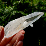 DT Lemurian Crystal Master Starbary - 4.75" 138g Record Keeper Optical Quartz, Colombia