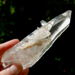 DT Lemurian Crystal Master Starbary - 4.75" 138g Record Keeper Optical Quartz, Colombia