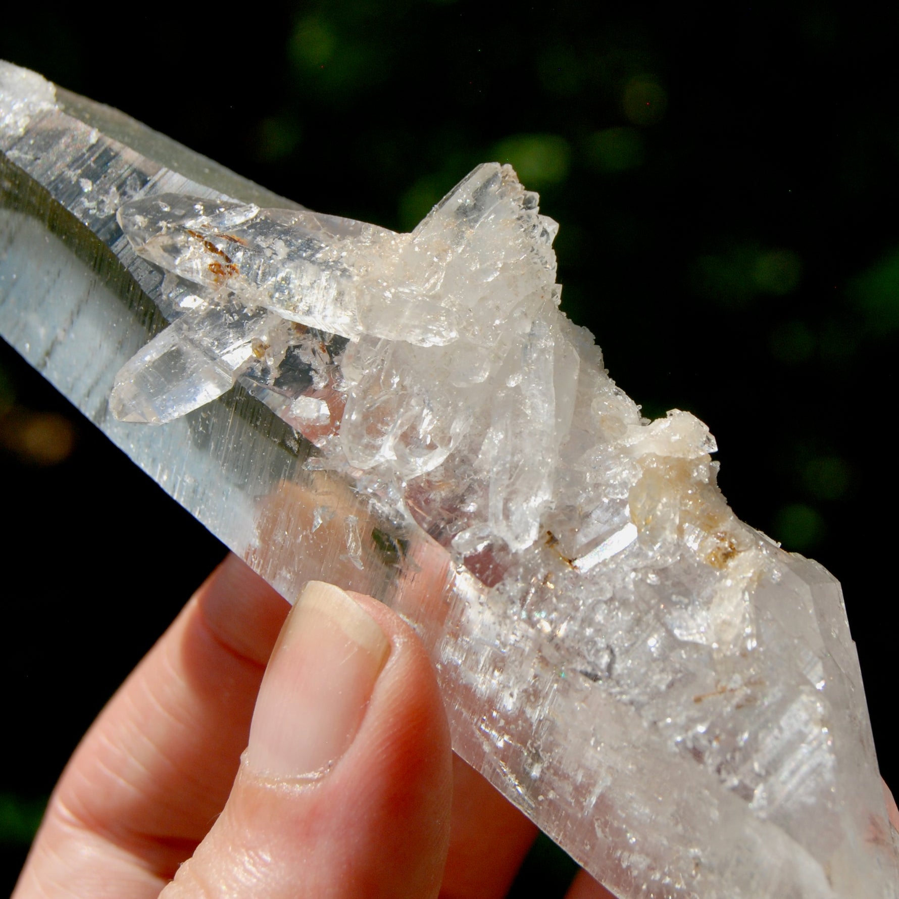 DT Lemurian Crystal Master Starbary - 4.75" 138g Record Keeper Optical Quartz, Colombia