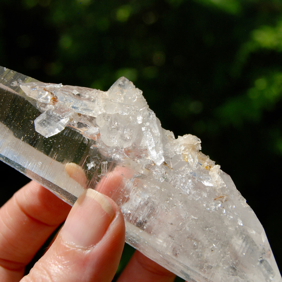 DT Lemurian Crystal Master Starbary - 4.75" 138g Record Keeper Optical Quartz, Colombia