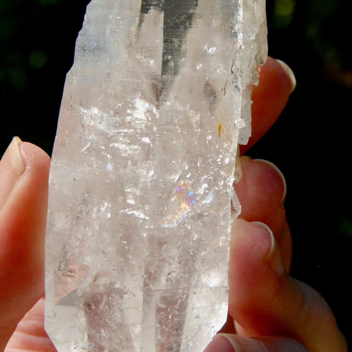 DT Lemurian Crystal Master Starbary - 4.75" 138g Record Keeper Optical Quartz, Colombia