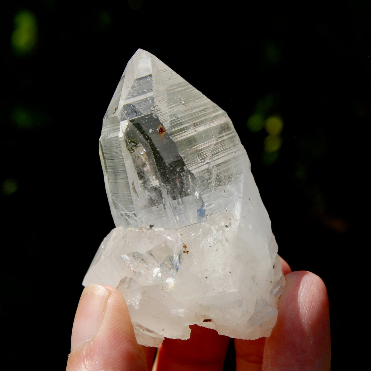 Dow Channeler Lemurian Crystal Starbary - 2.5" 85g Curved Record Keeper Optical Quartz, Colombia