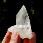 Dow Channeler Lemurian Crystal Starbary - 2.5" 85g Curved Record Keeper Optical Quartz, Colombia