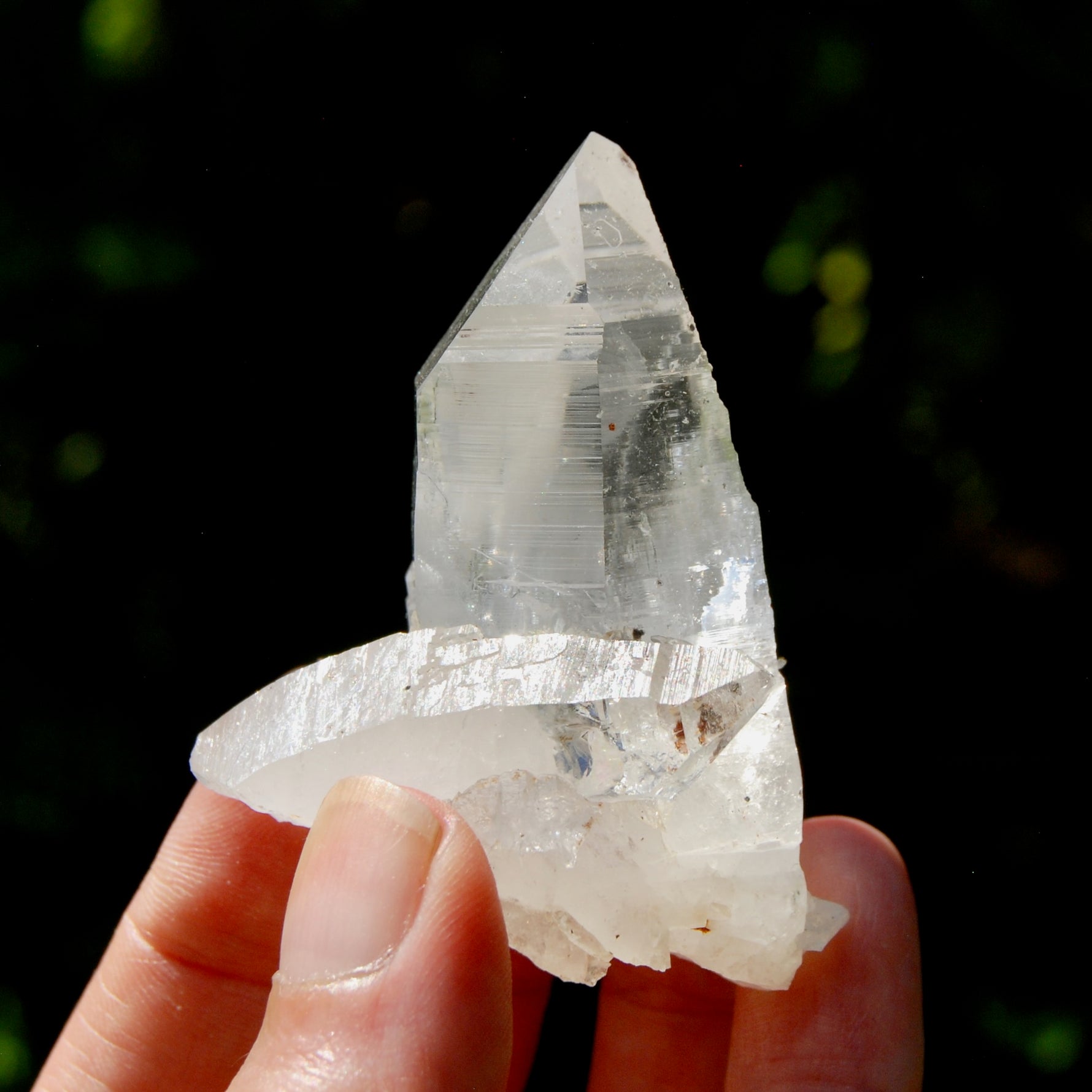 Dow Channeler Lemurian Crystal Starbary - 2.5" 85g Curved Record Keeper Optical Quartz, Colombia