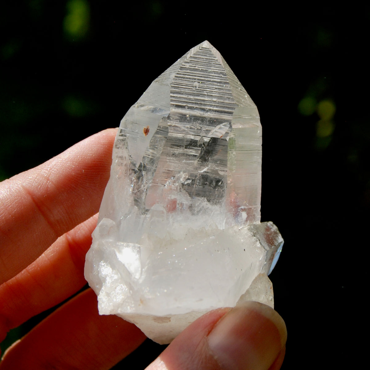 Dow Channeler Lemurian Crystal Starbary - 2.5" 85g Curved Record Keeper Optical Quartz, Colombia