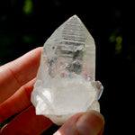 Dow Channeler Lemurian Crystal Starbary - 2.5" 85g Curved Record Keeper Optical Quartz, Colombia