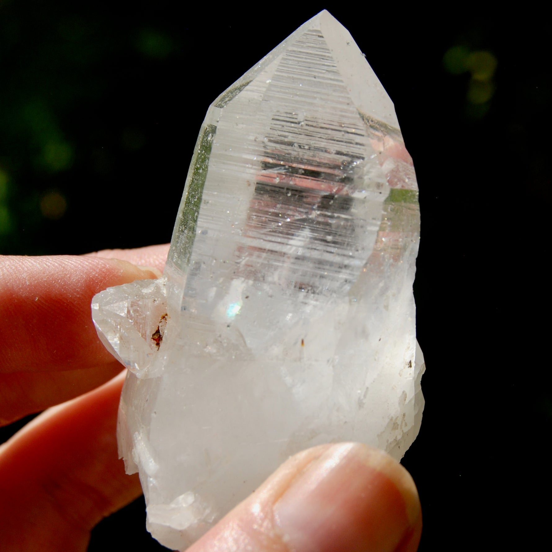 Dow Channeler Lemurian Crystal Starbary - 2.5" 85g Curved Record Keeper Optical Quartz, Colombia
