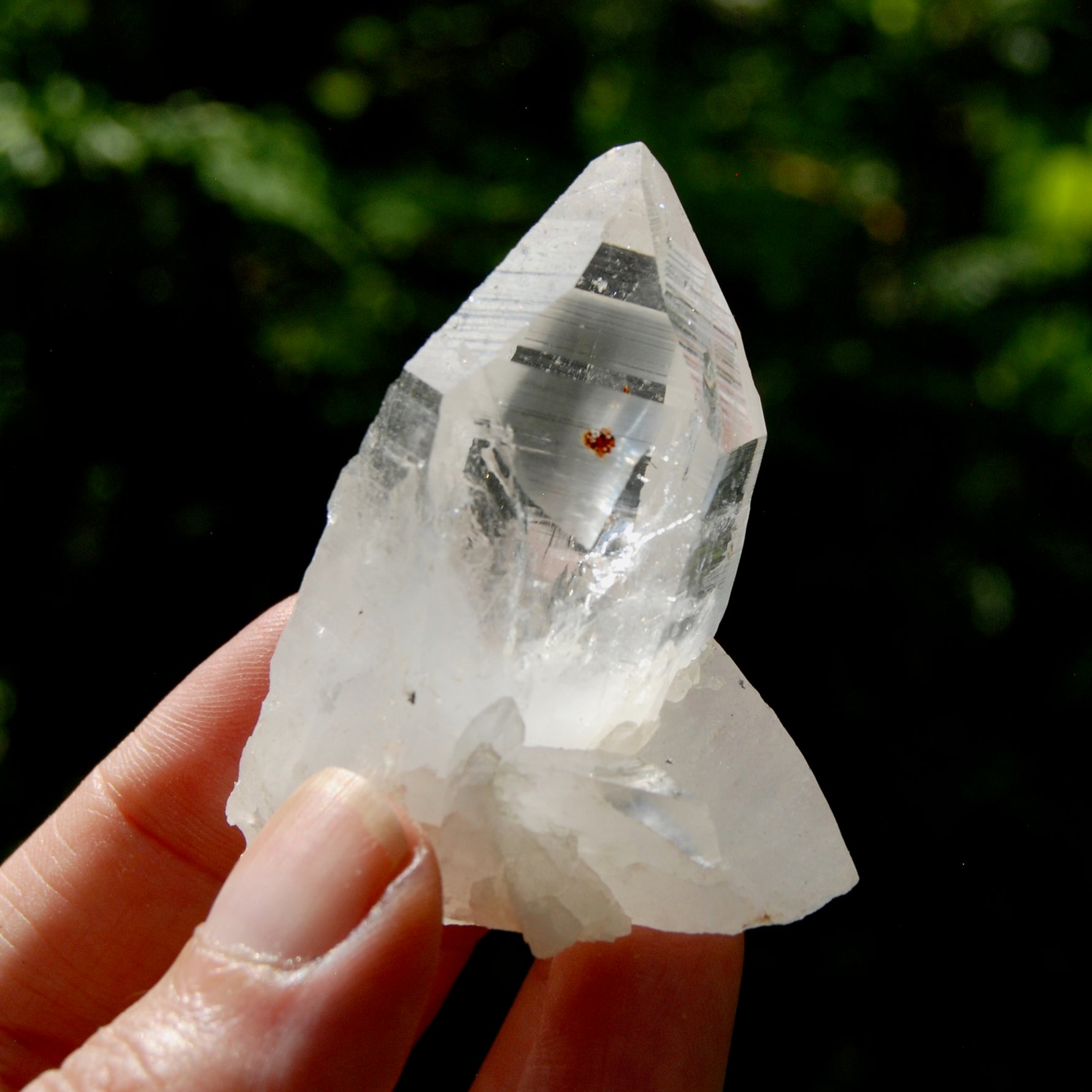 Dow Channeler Lemurian Crystal Starbary - 2.5" 85g Curved Record Keeper Optical Quartz, Colombia