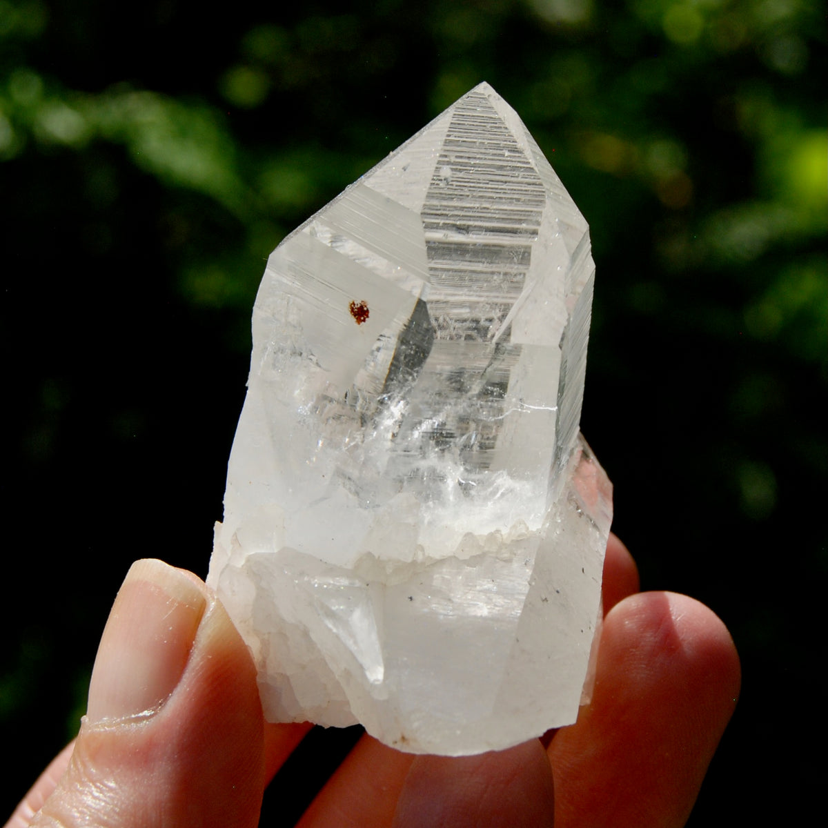Dow Channeler Lemurian Crystal Starbary - 2.5" 85g Curved Record Keeper Optical Quartz, Colombia