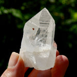 Dow Channeler Lemurian Crystal Starbary - 2.5" 85g Curved Record Keeper Optical Quartz, Colombia