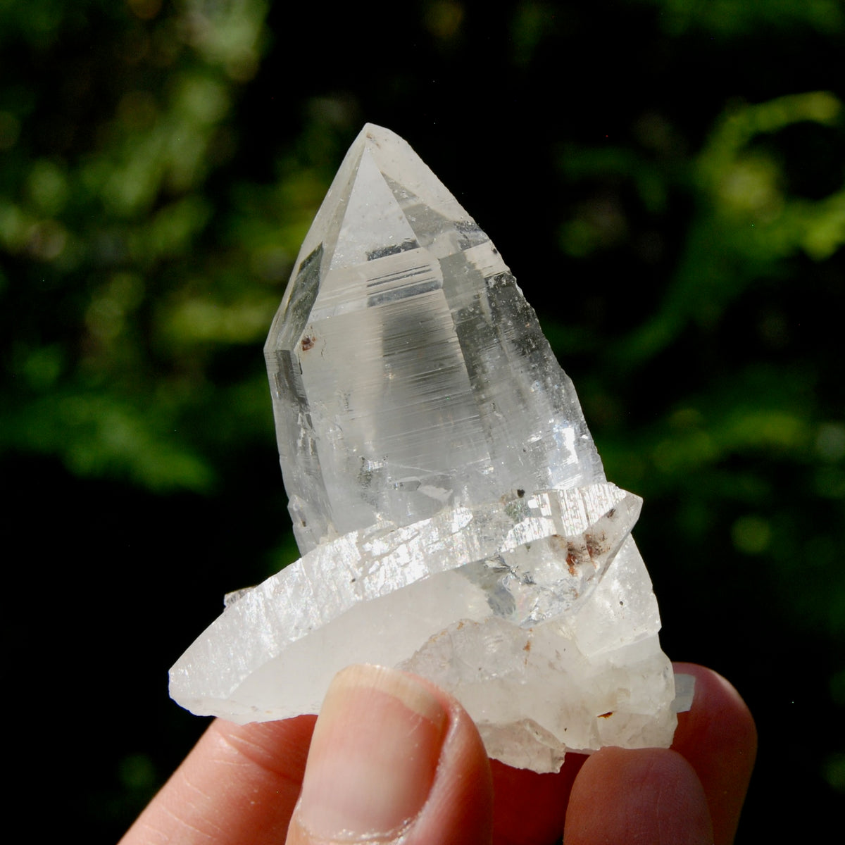 Dow Channeler Lemurian Crystal Starbary - 2.5" 85g Curved Record Keeper Optical Quartz, Colombia