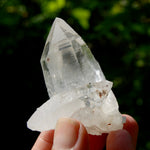 Dow Channeler Lemurian Crystal Starbary - 2.5" 85g Curved Record Keeper Optical Quartz, Colombia