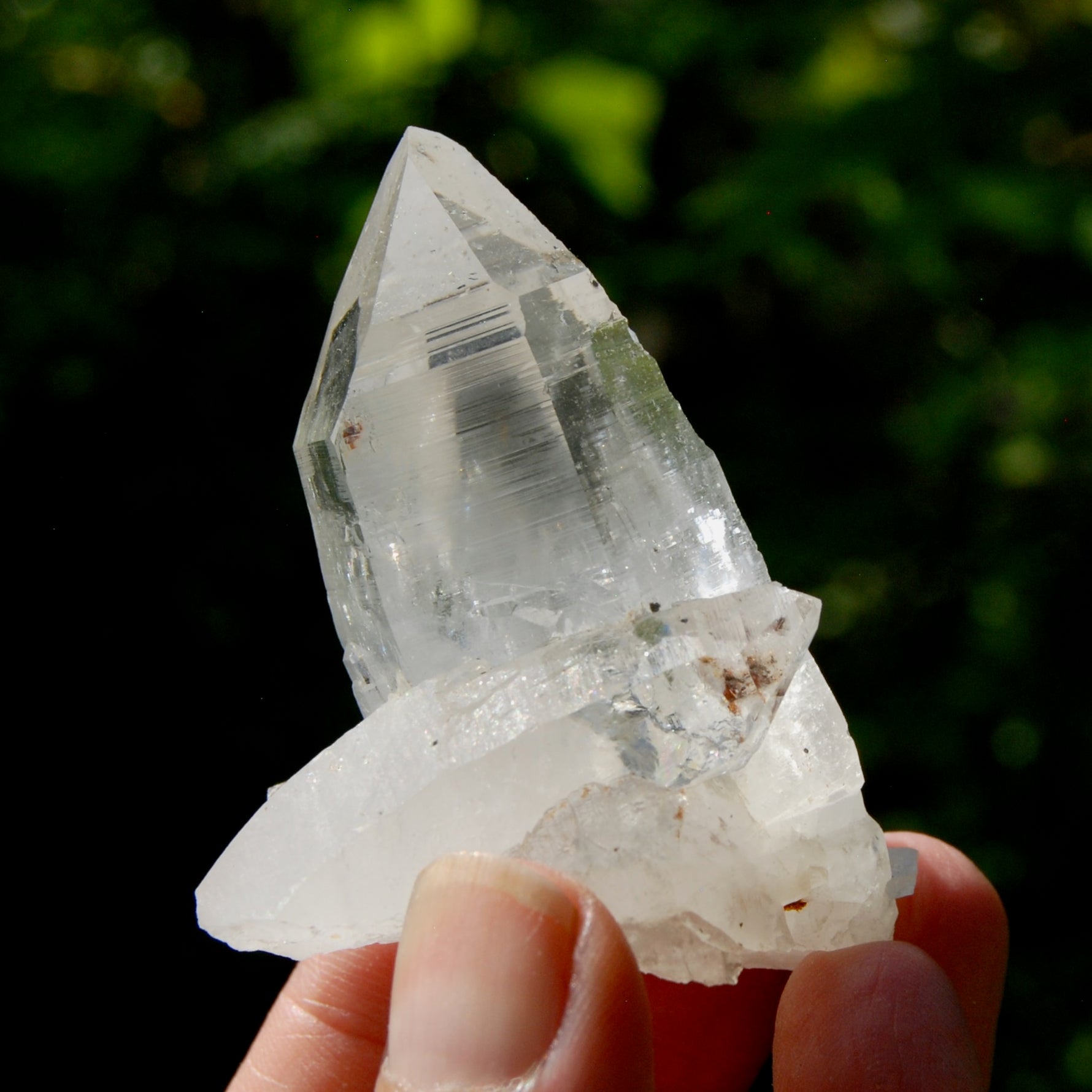 Dow Channeler Lemurian Crystal Starbary - 2.5" 85g Curved Record Keeper Optical Quartz, Colombia