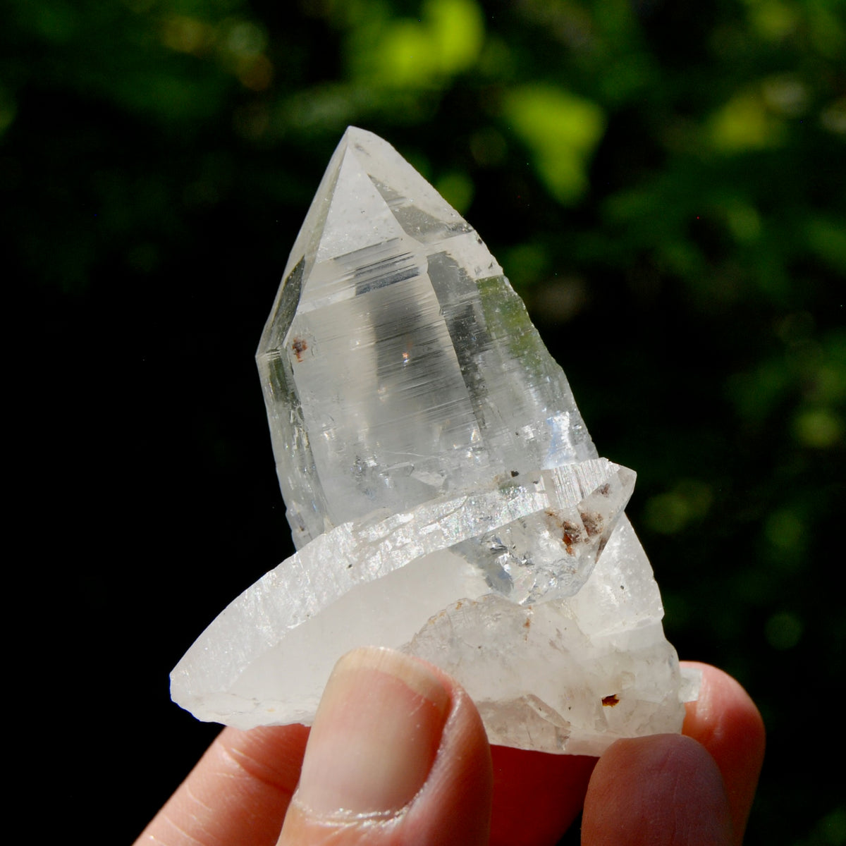 Dow Channeler Lemurian Crystal Starbary - 2.5" 85g Curved Record Keeper Optical Quartz, Colombia