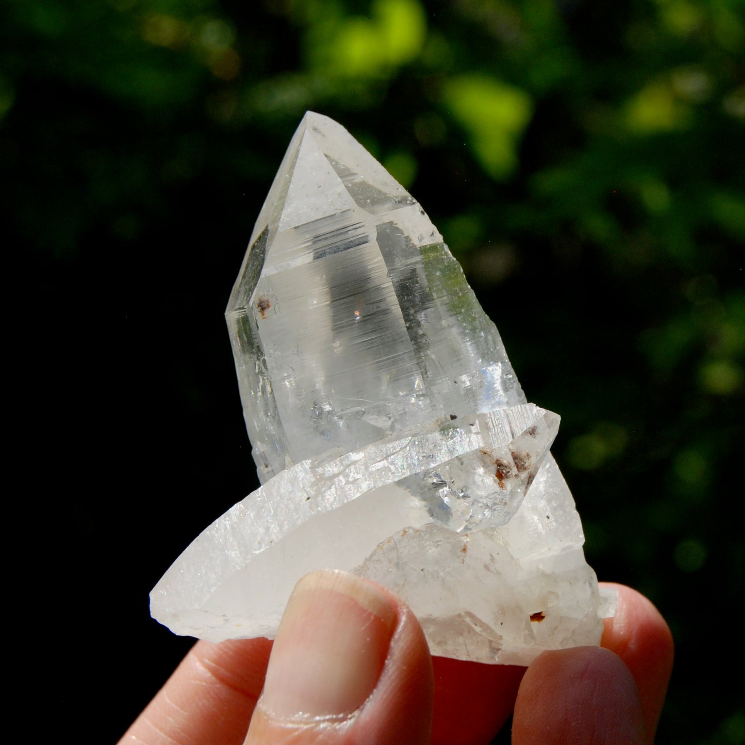 Dow Channeler Lemurian Crystal Starbary - 2.5" 85g Curved Record Keeper Optical Quartz, Colombia