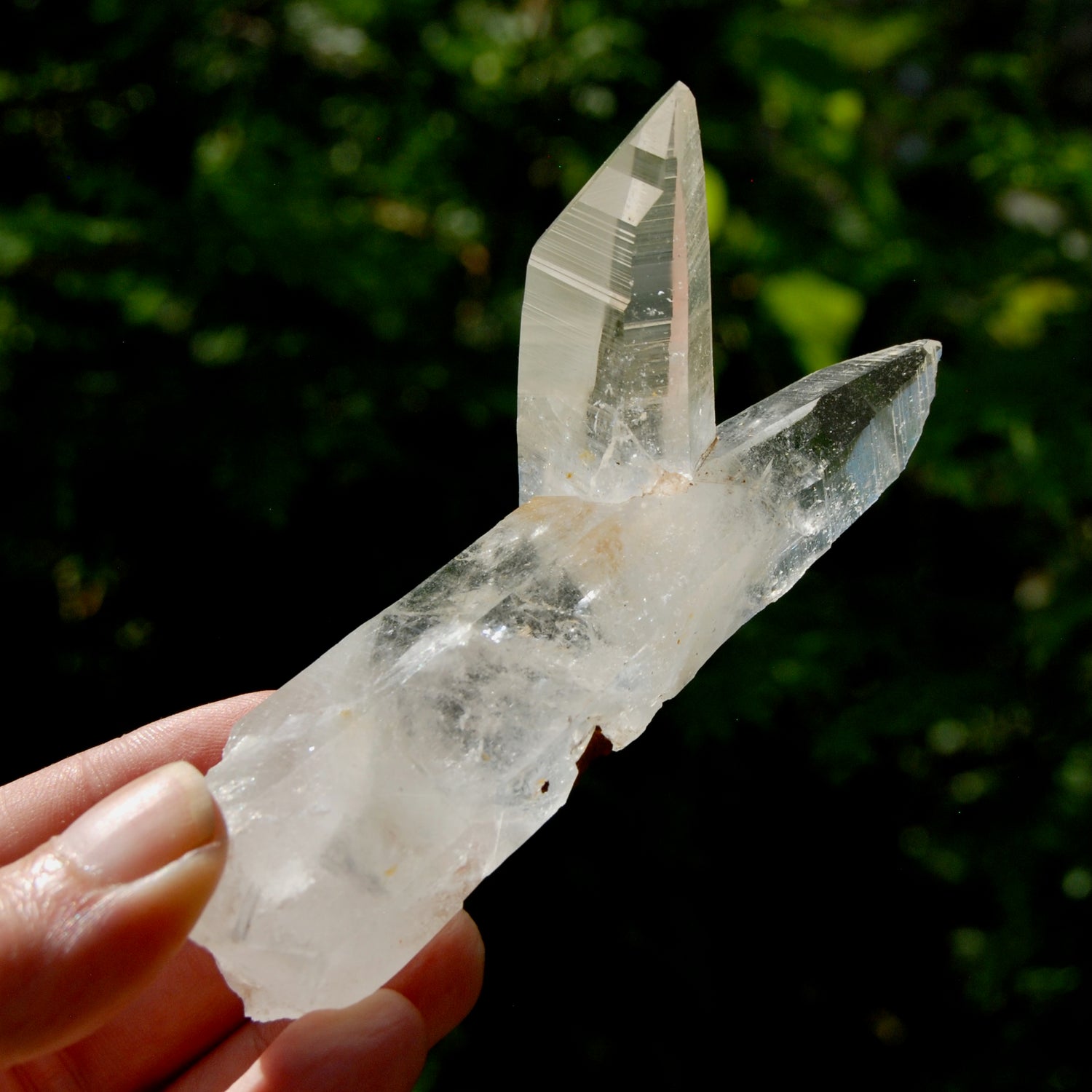 Lemurian Quartz Crystal Starbrary - 4in 106g Tantric Twin Flame Record Keeper,  Colombia