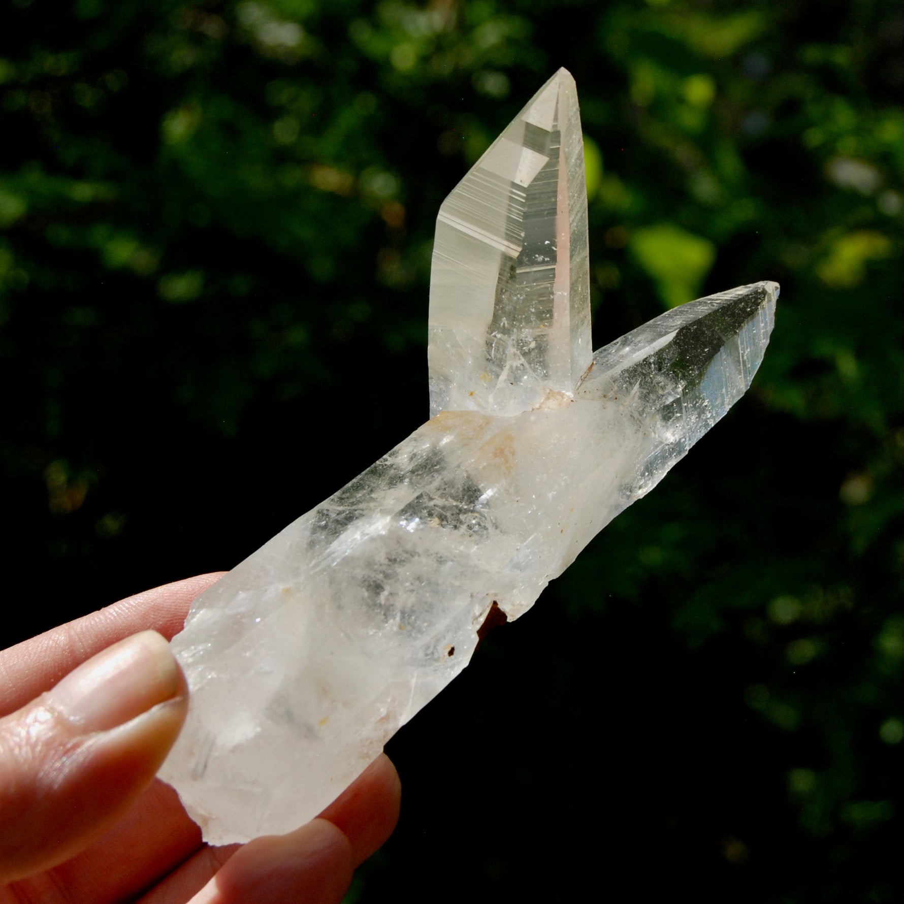 Lemurian Quartz Crystal Starbrary - 4in 106g Tantric Twin Flame Record Keeper,  Colombia