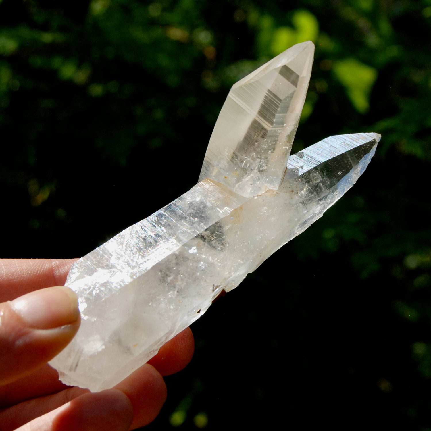 Lemurian Quartz Crystal Starbrary - 4in 106g Tantric Twin Flame Record Keeper,  Colombia